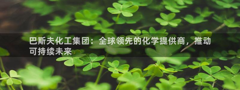 球盟会官方网站是什么：巴斯夫化工集团：全球领先的化学提供商，