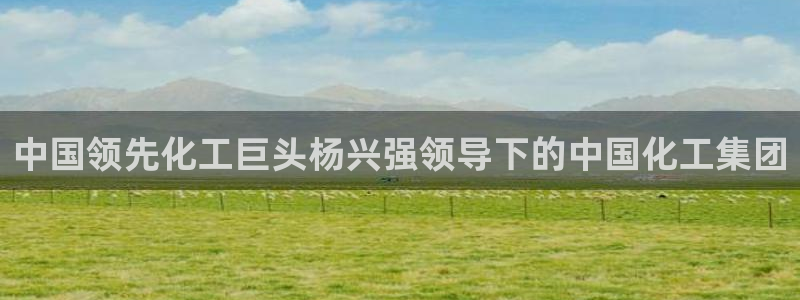 球盟会平台怎么样：中国领先化工巨头杨兴强领导下的中国化工集团