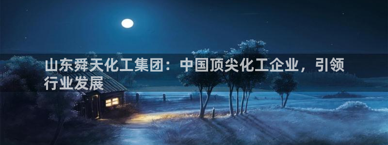 球盟会黑嘛：山东舜天化工集团：中国顶尖化工企业，引领
行业发