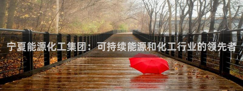 球盟会优惠领取网站是真的吗：宁夏能源化工集团：可持续能源和化