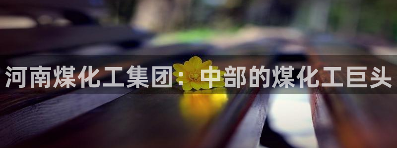 球盟会官网：河南煤化工集团：中部的煤化工巨头