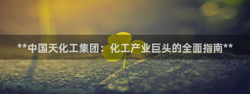 球盟会官方网入口：**中国天化工集团：化工产业巨头的全面指南
