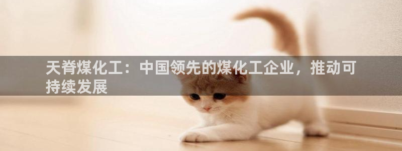 球盟会网址：天脊煤化工：中国领先的煤化工企业，推动可
持续发