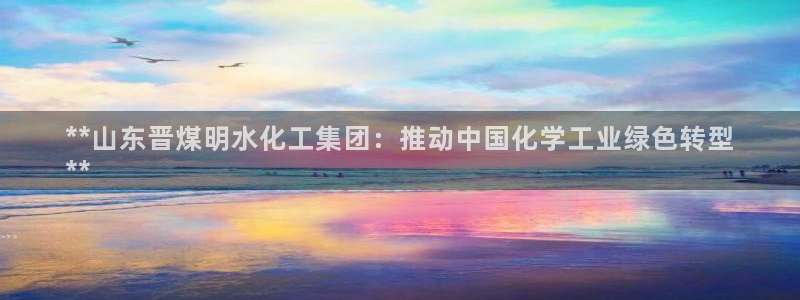 球盟会有没有黑单的：**山东晋煤明水化工集团：推动中国化学工