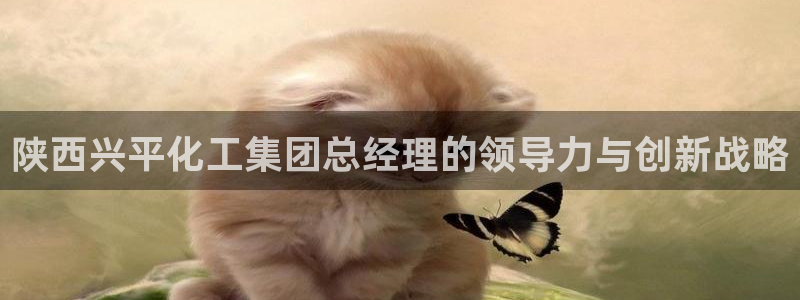 球盟会网页登录app下载地址：陕西兴平化工集团总经理的领导力