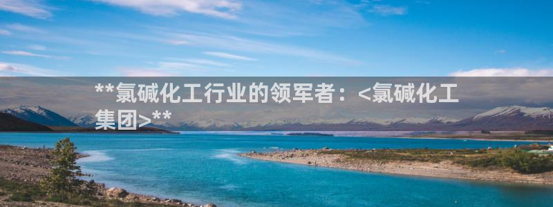 球盟会电子好黑：**氯碱化工行业的领军者：<氯碱化工
集团>
