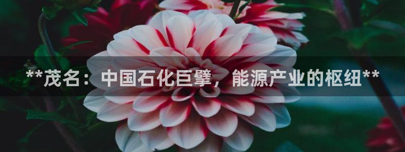 球盟会官方入口：**茂名：中国石化巨擘，能源产业的枢纽**