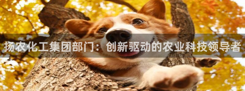 球盟会头号玩家：扬农化工集团部门：创新驱动的农业科技领导者