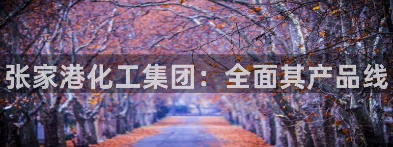 球盟会平台怎么样：张家港化工集团：全面其产品线