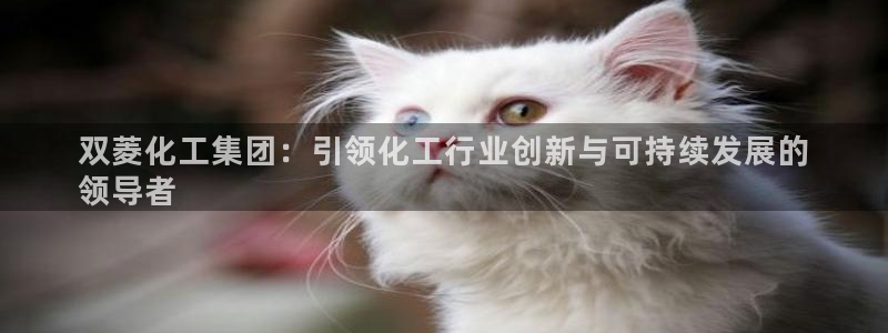 球盟会可以提现么：双菱化工集团：引领化工行业创新与可持续发展