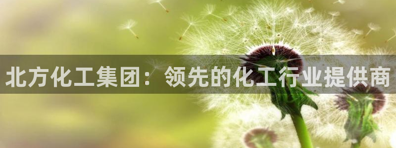 球盟会提款支付宝怎么样：北方化工集团：领先的化工行业提供商