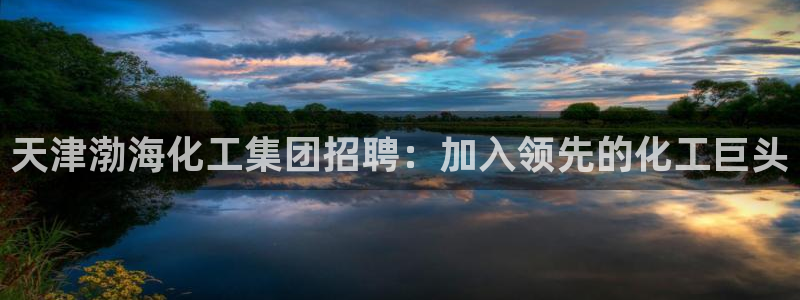球盟会电子游戏平台：天津渤海化工集团招聘：加入领先的化工巨头