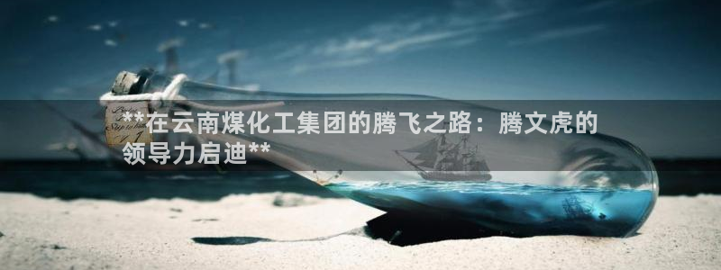球盟会App：**在云南煤化工集团的腾飞之路：腾文虎的
领导