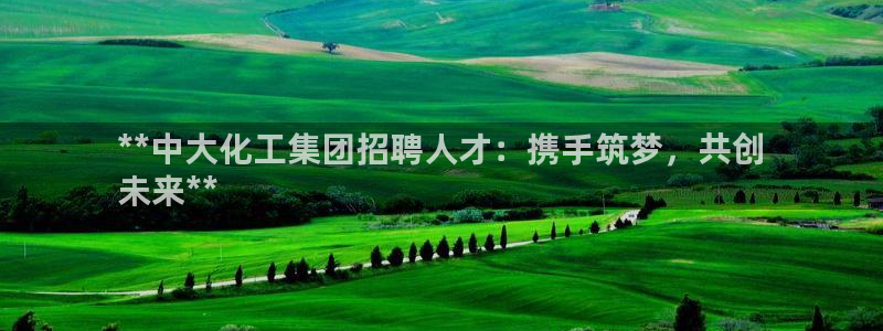 球盟会官方网入口：**中大化工集团招聘人才：携手筑梦，共创
