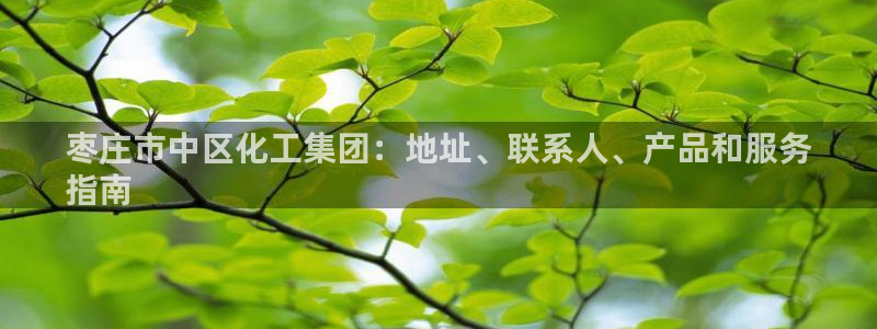 球盟会体育平台：枣庄市中区化工集团：地址、联系人、产品和服务