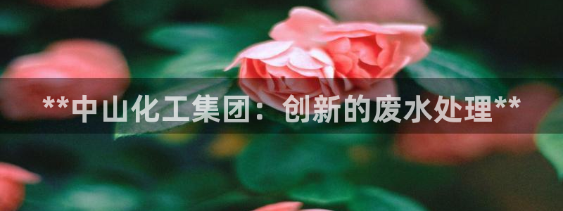 球盟会网页版：**中山化工集团：创新的废水处理**