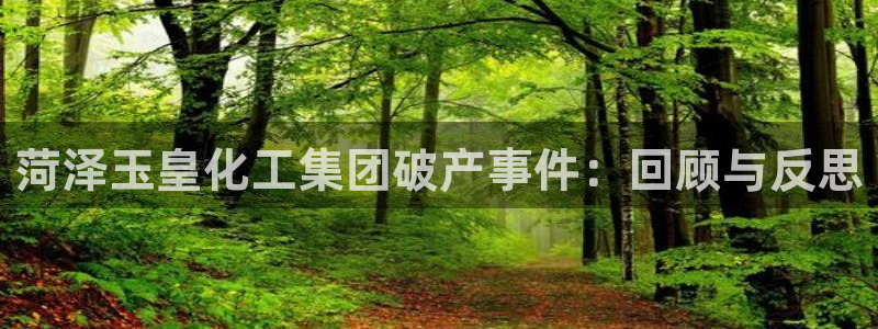 球盟会qmh登录地址：菏泽玉皇化工集团破产事件：回顾与反思