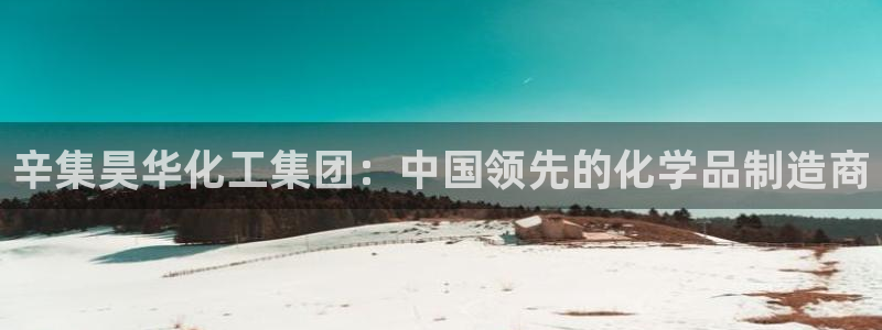 球盟会封禁：辛集昊华化工集团：中国领先的化学品制造商