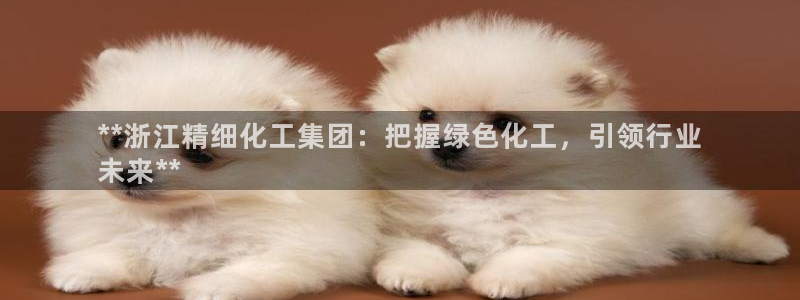球盟会黑：**浙江精细化工集团：把握绿色化工，引领行业
未来