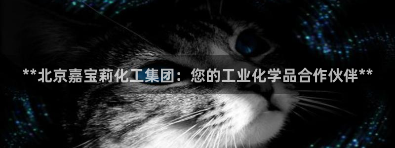 球盟会连接：**北京嘉宝莉化工集团：您的工业化学品合作伙伴*