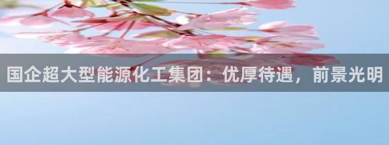 球盟会app网址多少：国企超大型能源化工集团：优厚待遇，前景
