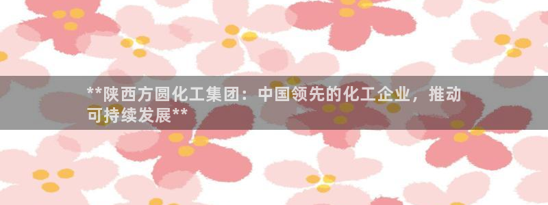 球盟会黑款吗知乎文章：**陕西方圆化工集团：中国领先的化工企