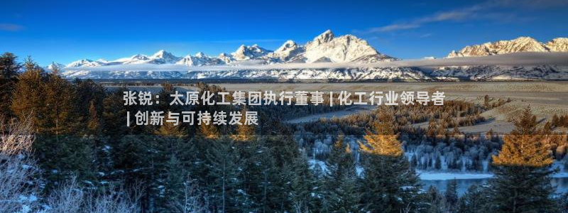 球盟会官网：张锐：太原化工集团执行董事 | 化工行业领导者

