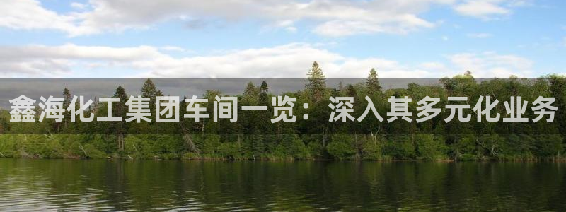 球盟会官方登录平台：鑫海化工集团车间一览：深入其多元化业务