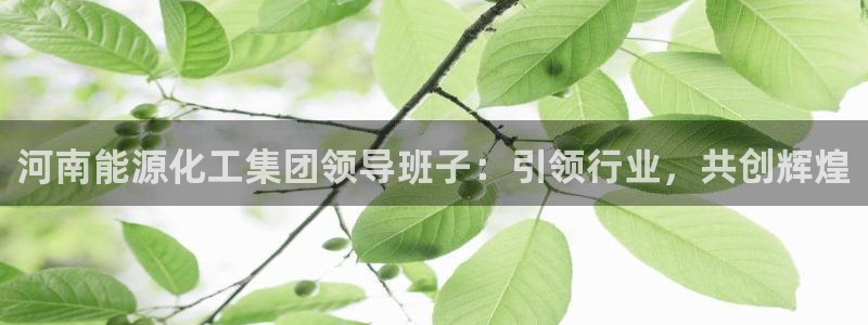 球盟会手机网页版：河南能源化工集团领导班子：引领行业，共创辉