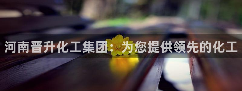 球盟会官方网入口：河南晋升化工集团：为您提供领先的化工