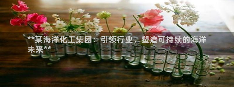 球盟会登录平台：**某海洋化工集团：引领行业，塑造可持续的海
