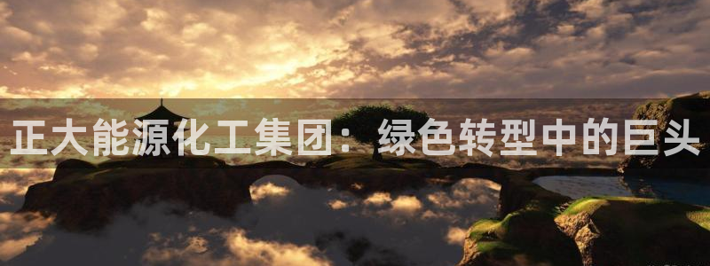 球盟会黑钱：正大能源化工集团：绿色转型中的巨头