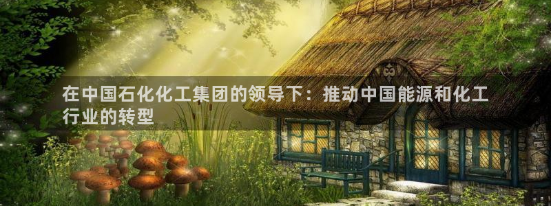 球盟会综合体育平台：在中国石化化工集团的领导下：推动中国能源