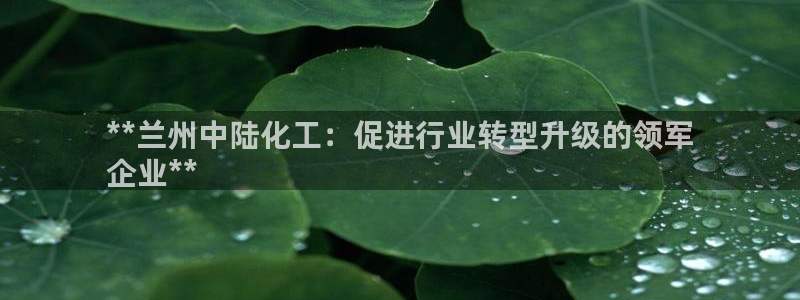 球盟会综合app下载：**兰州中陆化工：促进行业转型升级的领
