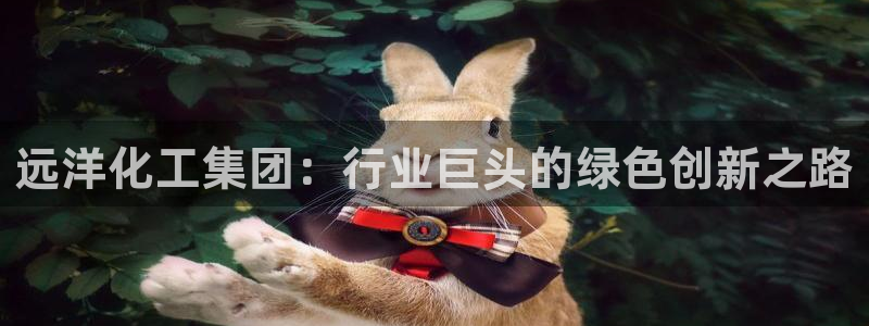 球盟会app最新地址下载安装：远洋化工集团：行业巨头的绿色创