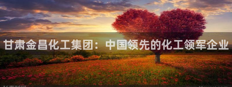 球盟会类似的网站：甘肃金昌化工集团：中国领先的化工领军企业