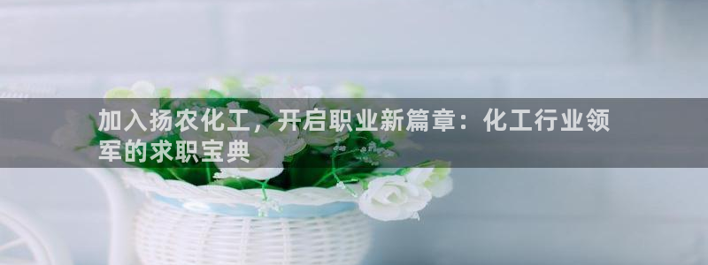 球盟会官网网页版：加入扬农化工，开启职业新篇章：化工行业领

