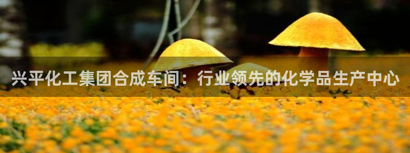 球盟会下款快吗：兴平化工集团合成车间：行业领先的化学品生产中