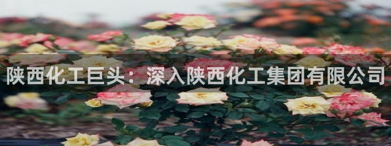 球盟会里面有打牌的嘛：陕西化工巨头：深入陕西化工集团有限公司