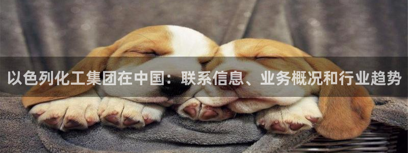 球盟会官方网站：以色列化工集团在中国：联系信息、业务概况和行