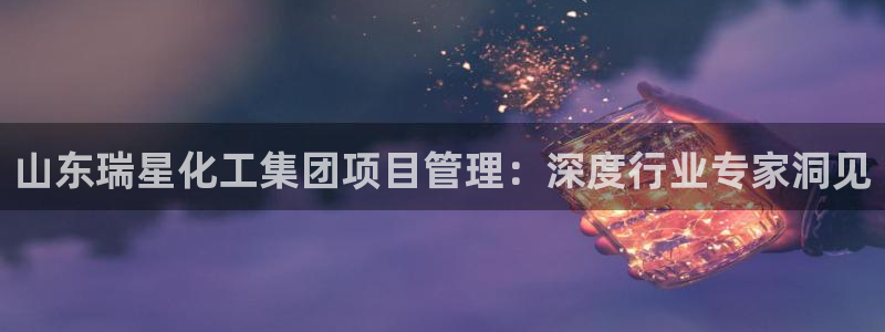 球盟会：山东瑞星化工集团项目管理：深度行业专家洞见