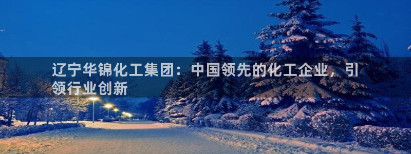 球盟会福利码2023最简单三个步骤：辽宁华锦化工集团：中国领