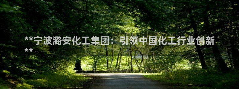 球盟会封禁：**宁波潞安化工集团：引领中国化工行业创新
**