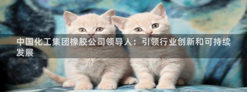 球盟会app手机登录：中国化工集团橡胶公司领导人：引领行业创