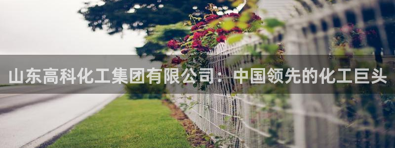 球盟会电子游戏平台：山东高科化工集团有限公司：中国领先的化工