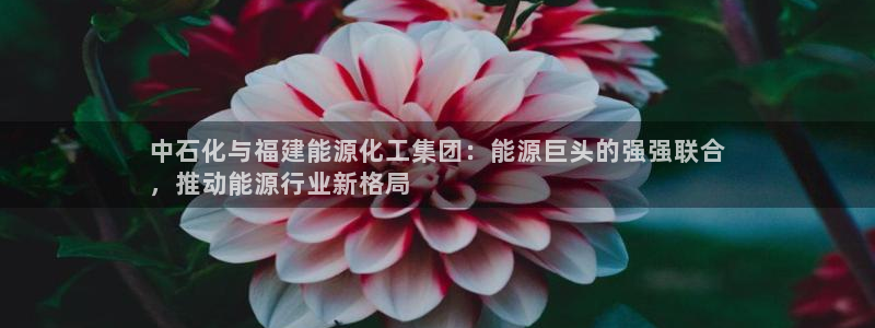 球盟会在线登录官网：中石化与福建能源化工集团：能源巨头的强强