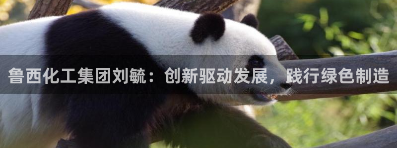 球盟会黑款吗知乎小说：鲁西化工集团刘毓：创新驱动发展，践行绿