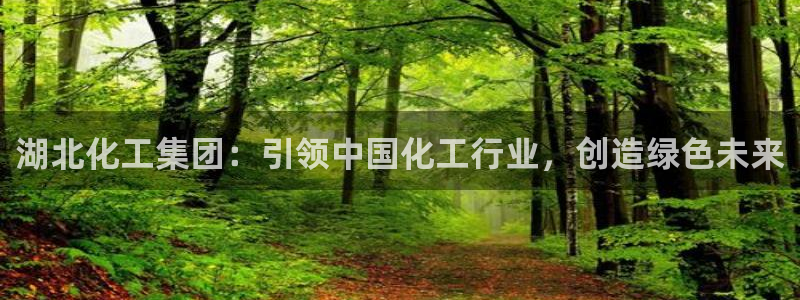 球盟会qmh电子网页版登录：湖北化工集团：引领中国化工行业，