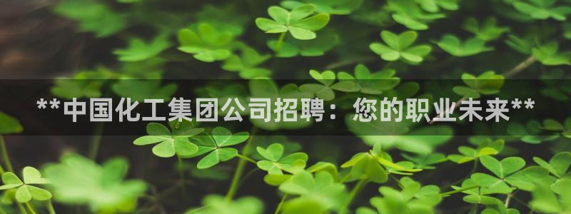 球盟会官方网站：**中国化工集团公司招聘：您的职业未来**