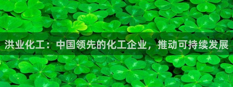 球盟会黑网：洪业化工：中国领先的化工企业，推动可持续发展